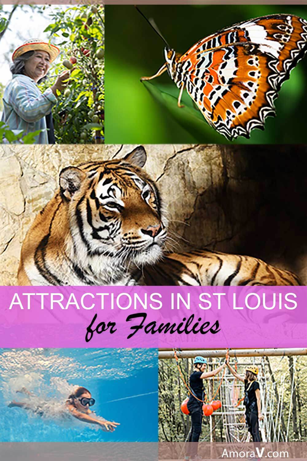 Attractions in Saint Louis for Families